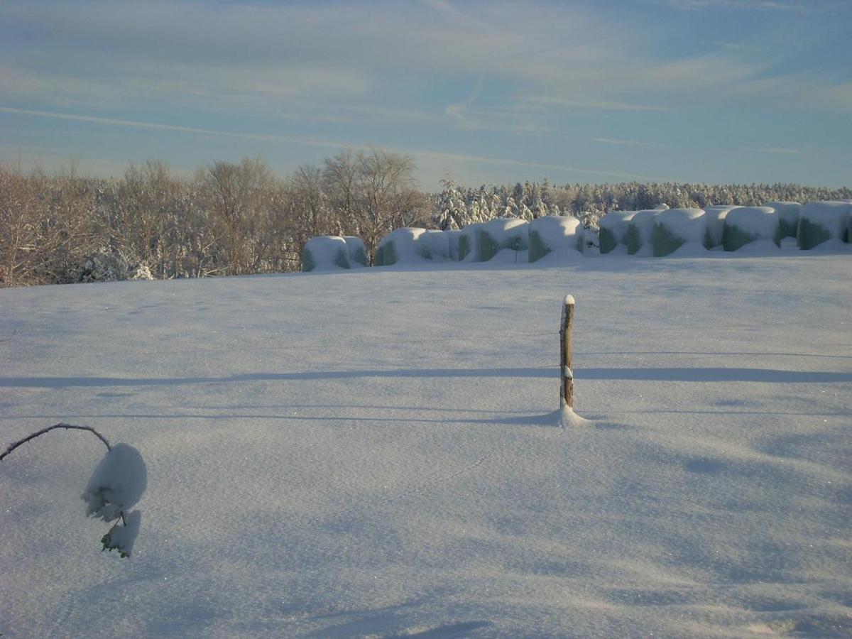Location Vacances Des 4 Vents Girmont-Val-dʼAjol Kültér fotó