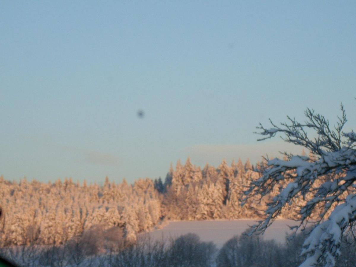 Location Vacances Des 4 Vents Girmont-Val-dʼAjol Kültér fotó